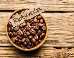 premium robusta coffee
